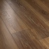 Ламинат Equalline Oak Golden Дуб Золотой 8003-1 фото 1 &mdash; ПетроПол