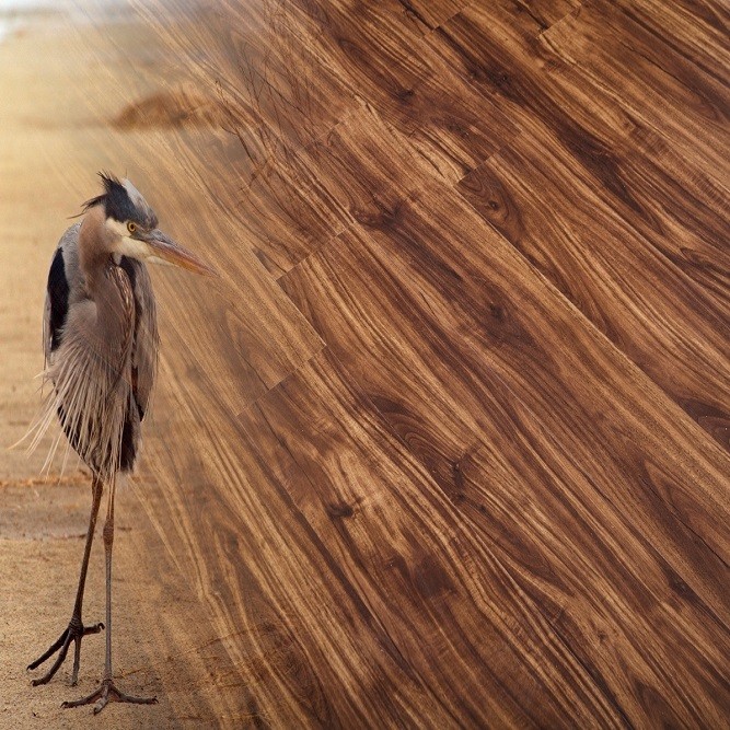 Инженерная Виниловая Доска Natura Орех Фране фото 1 — ПетроПол