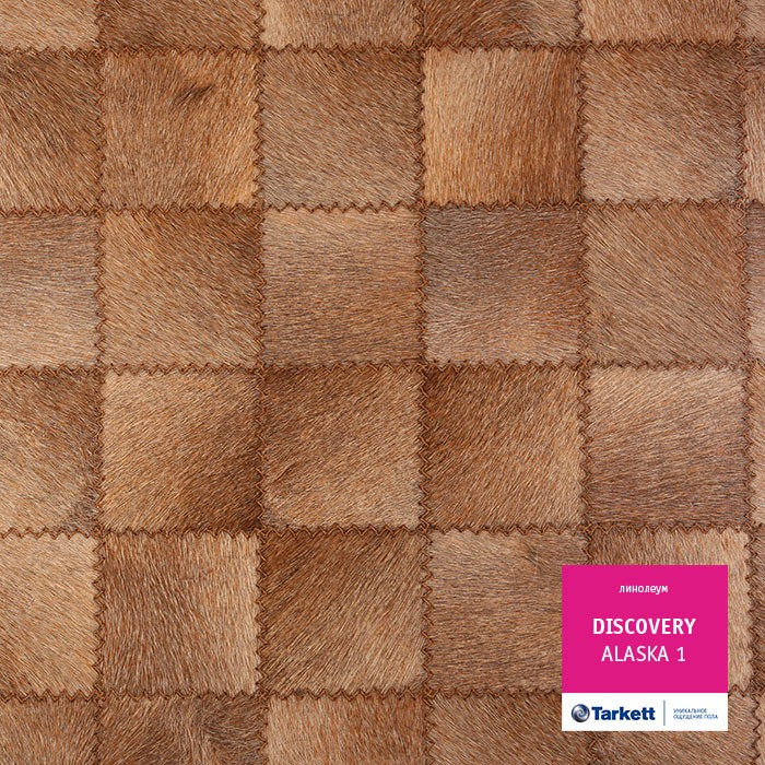 Линолеум Tarkett Discovery Alaska 1 фото 1 — ПетроПол