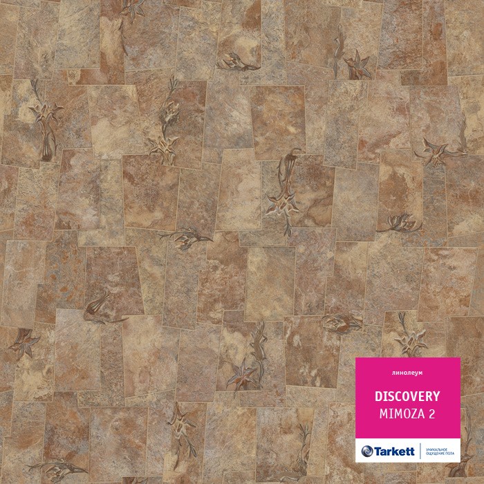 Линолеум Tarkett Discovery Мимоза 2 фото 1 — ПетроПол