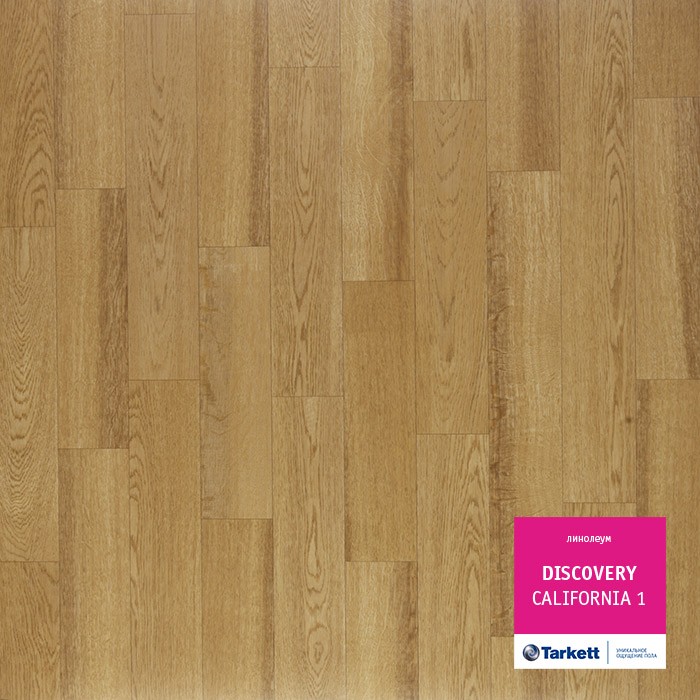Линолеум Tarkett Discovery California 1 (1.5м) фото 1 — ПетроПол