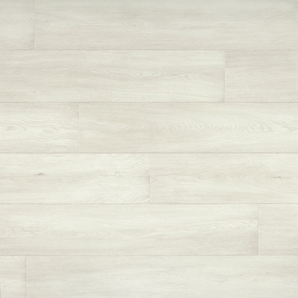 Линолеум Tarkett HomeTown DOLIS 1 фото 1 — ПетроПол