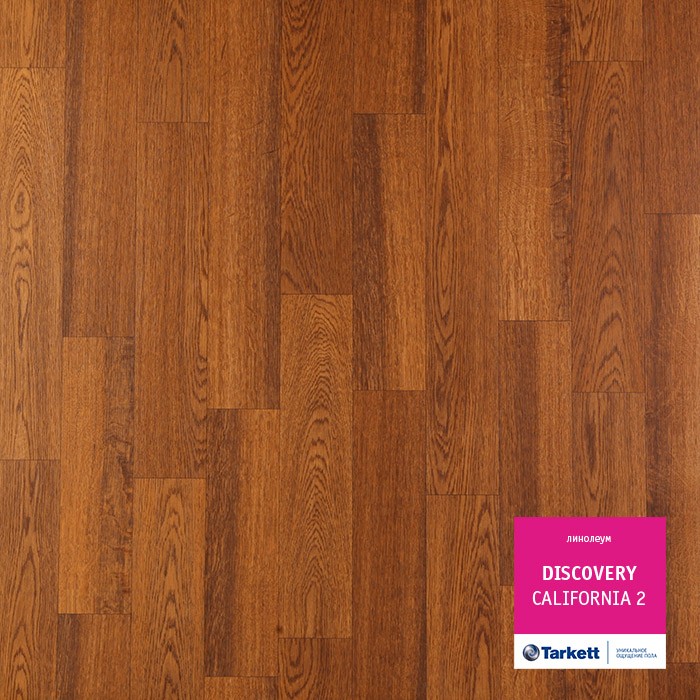 Линолеум Tarkett Discovery California 2 фото 1 — ПетроПол