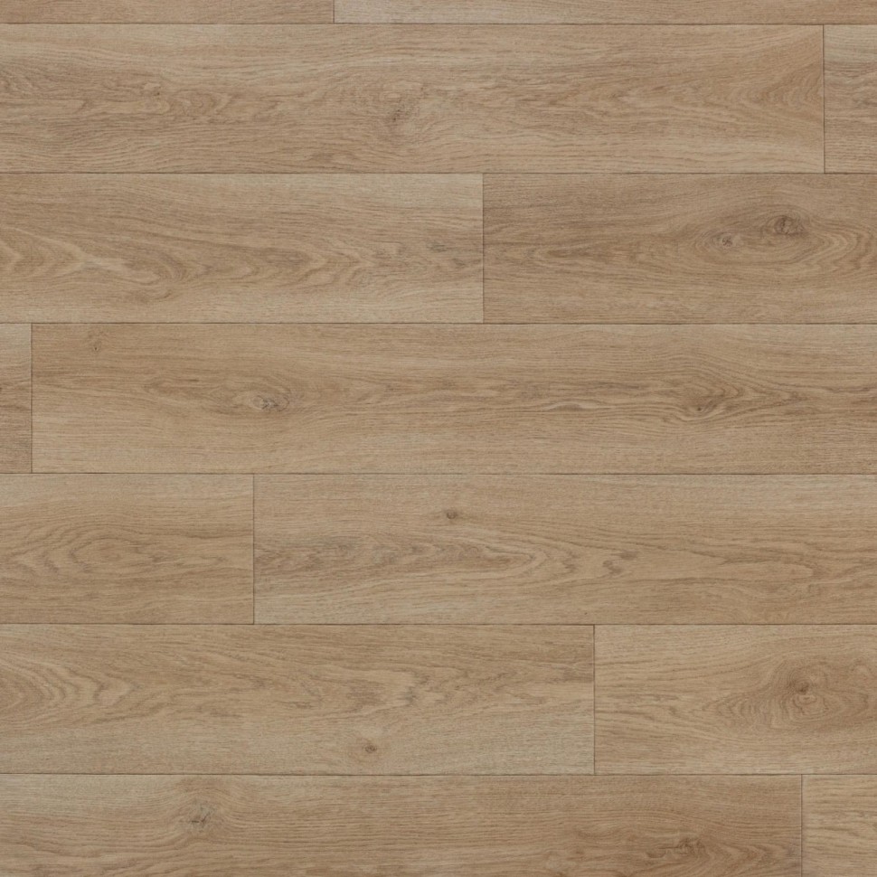 Линолеум Tarkett Sprint Pro PARADE 2 фото 1 — ПетроПол