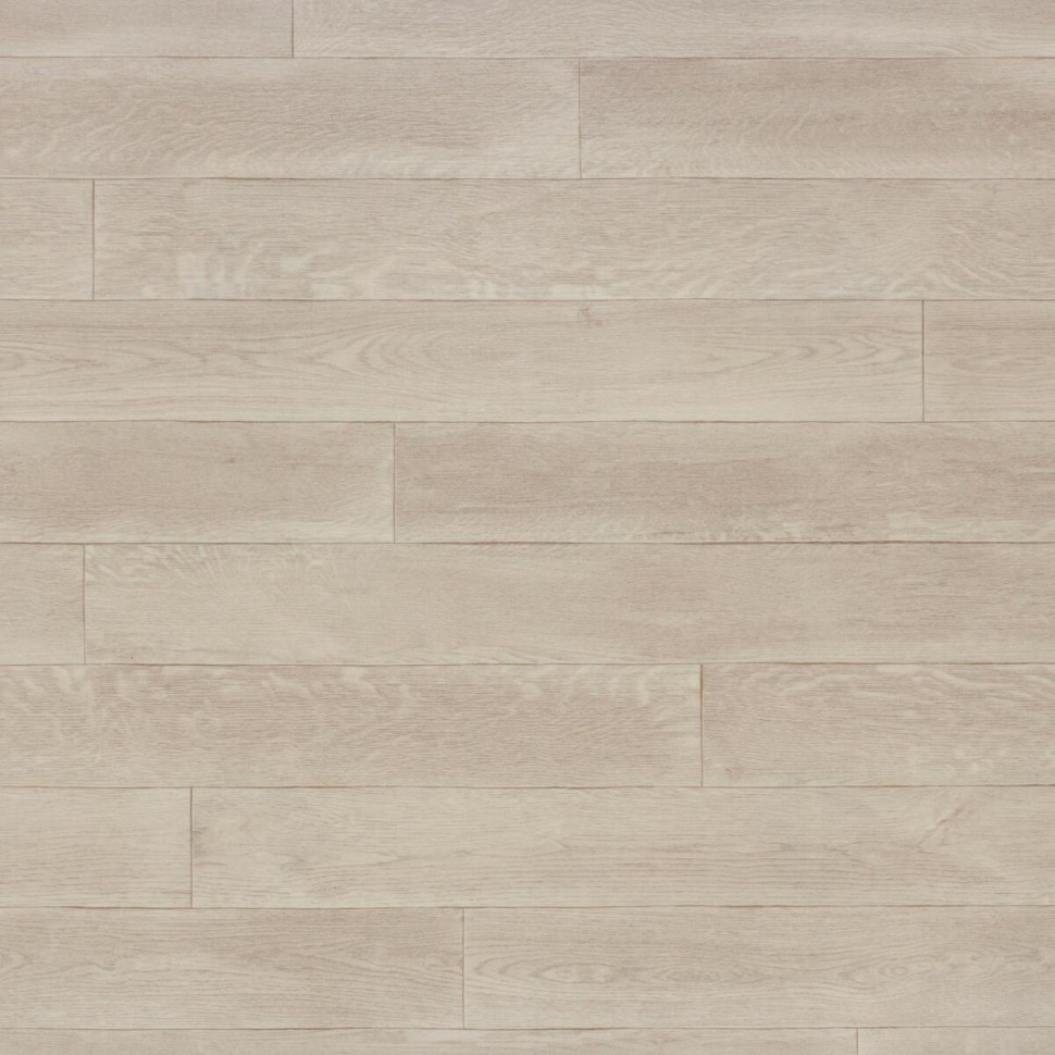 Линолеум Tarkett Бонус REPIN 2 фото 1 — ПетроПол