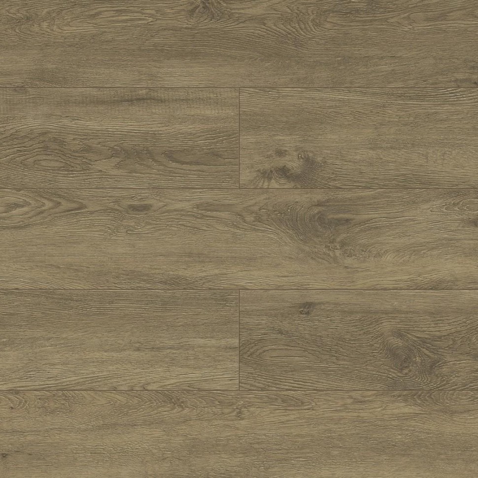 SPC ламинат Alpine Floor Grand Sequoia ECO 11-11 Секвойя Маслина фото 1 — ПетроПол