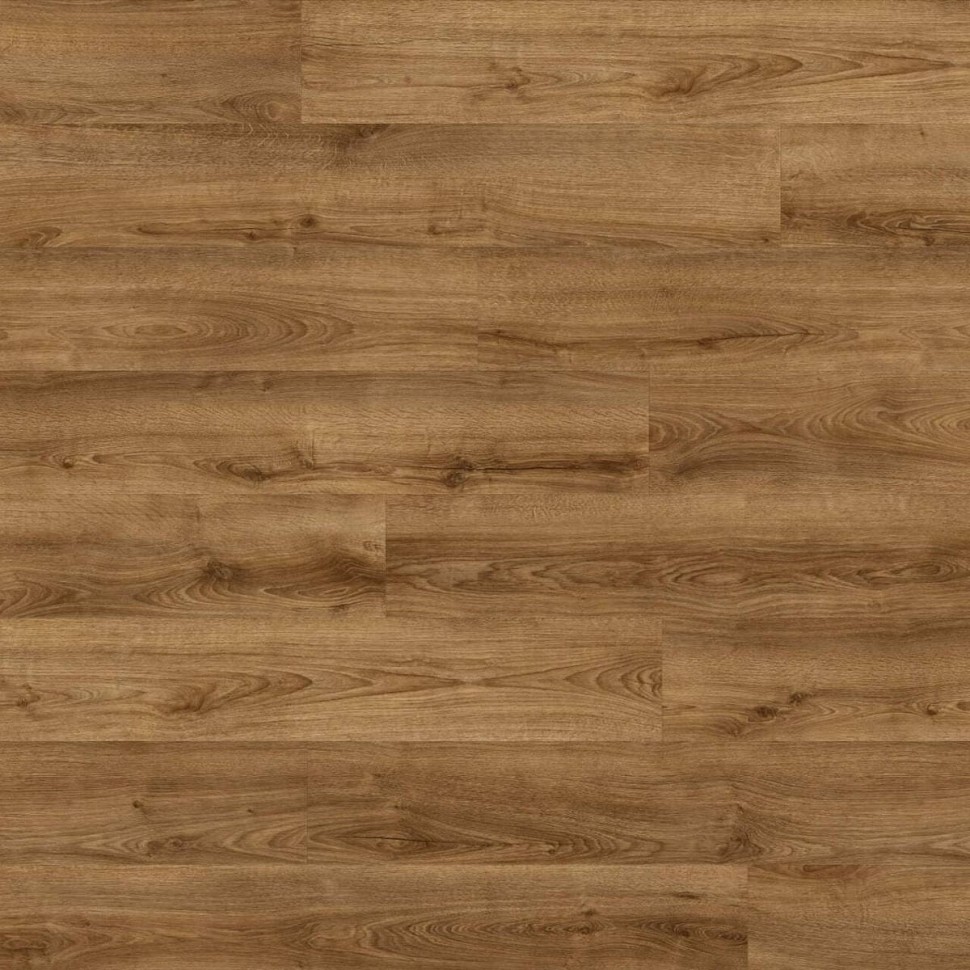 Виниловый ламинат Moduleo Next  853 Shelby Oak фото 1 — ПетроПол