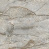 Керамогранит NTCeramic Marmo NTT99517M Forest Carving (60х120 см)