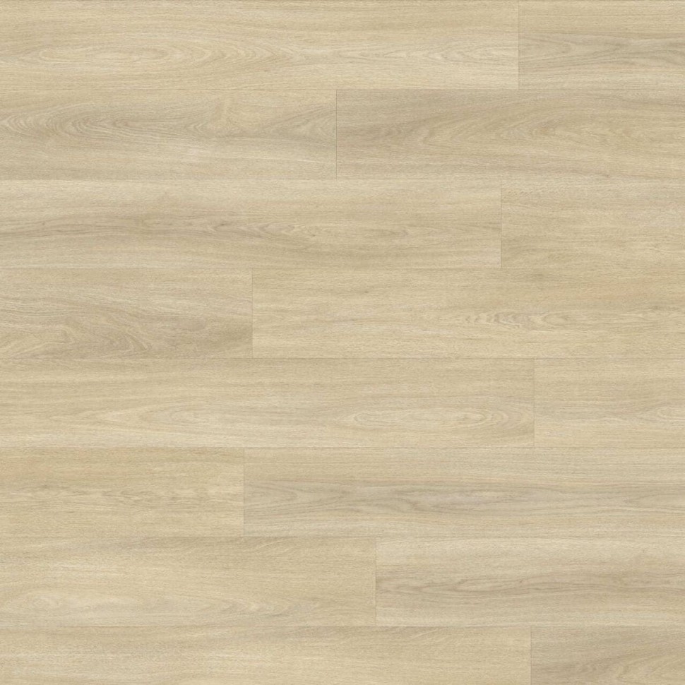 Виниловый ламинат Moduleo Next  246 Noble Oak фото 1 — ПетроПол