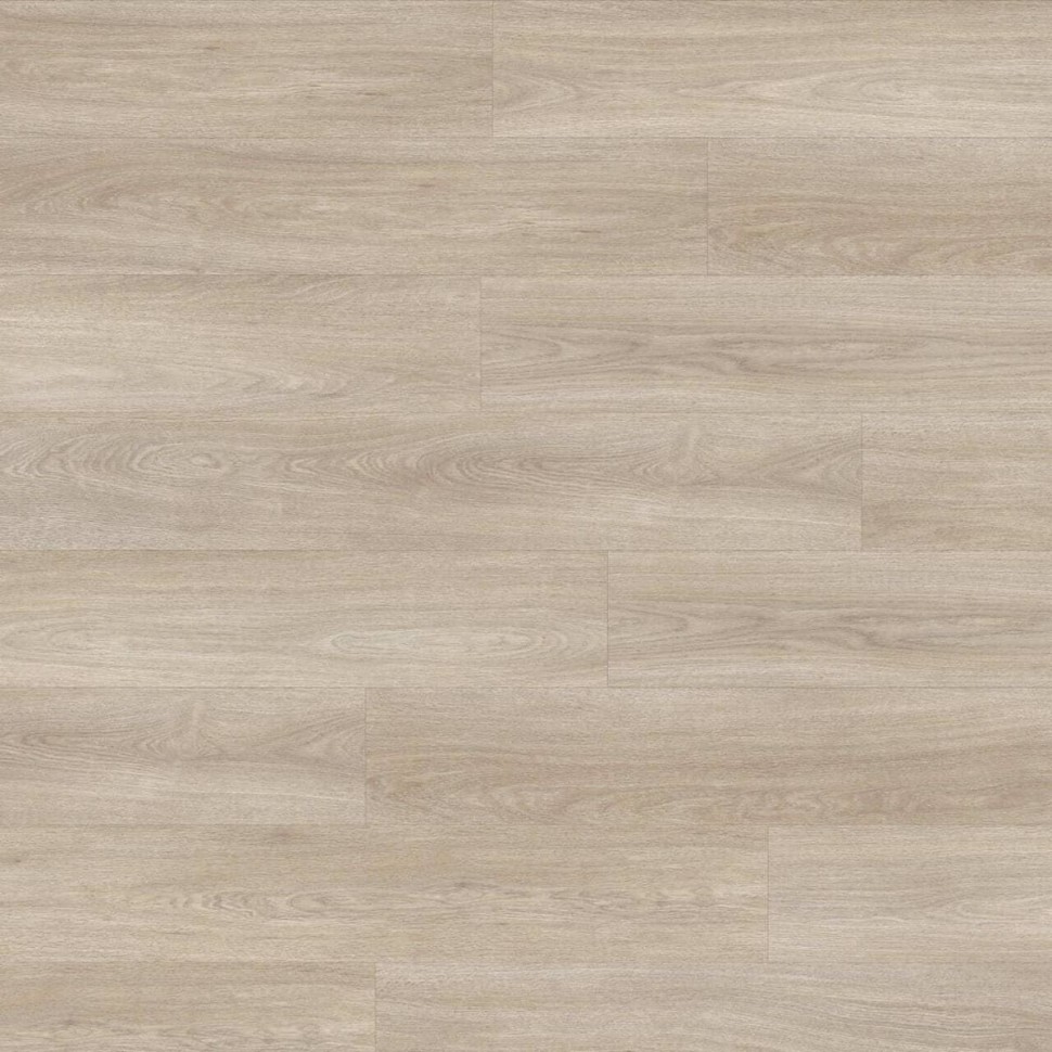 Виниловый ламинат Moduleo Next  236 Noble Oak фото 1 — ПетроПол