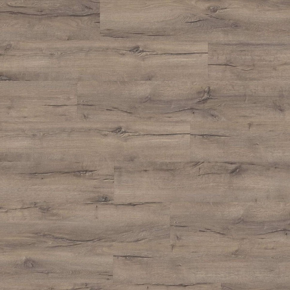 Виниловый ламинат Moduleo Next  869 Highland Oak фото 1 — ПетроПол