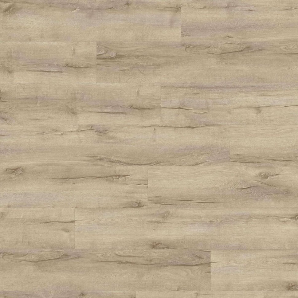 Виниловый ламинат Moduleo Next  238 Highland Oak фото 1 — ПетроПол