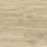 SPC ламинат Alpine Floor Grand Sequoia ECO 11-508 MC Камфора