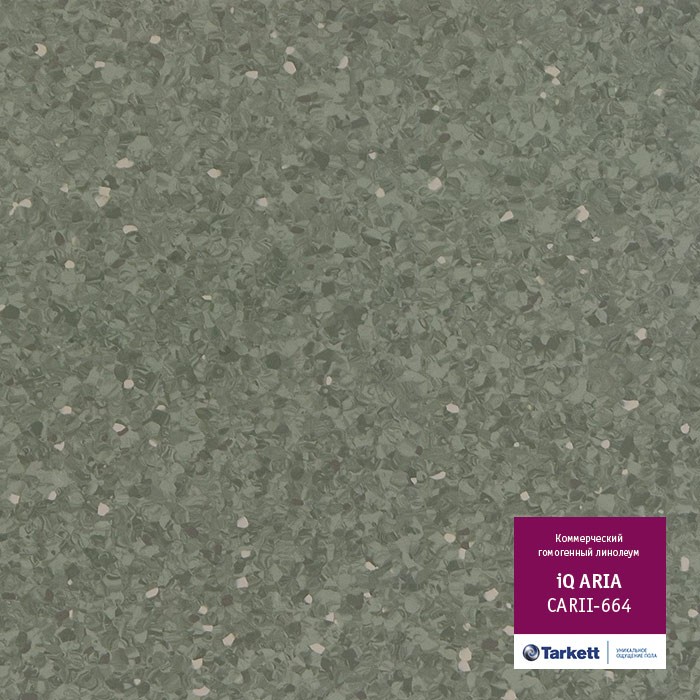Линолеум Tarkett IQ Aria CARII-664 фото 1 — ПетроПол