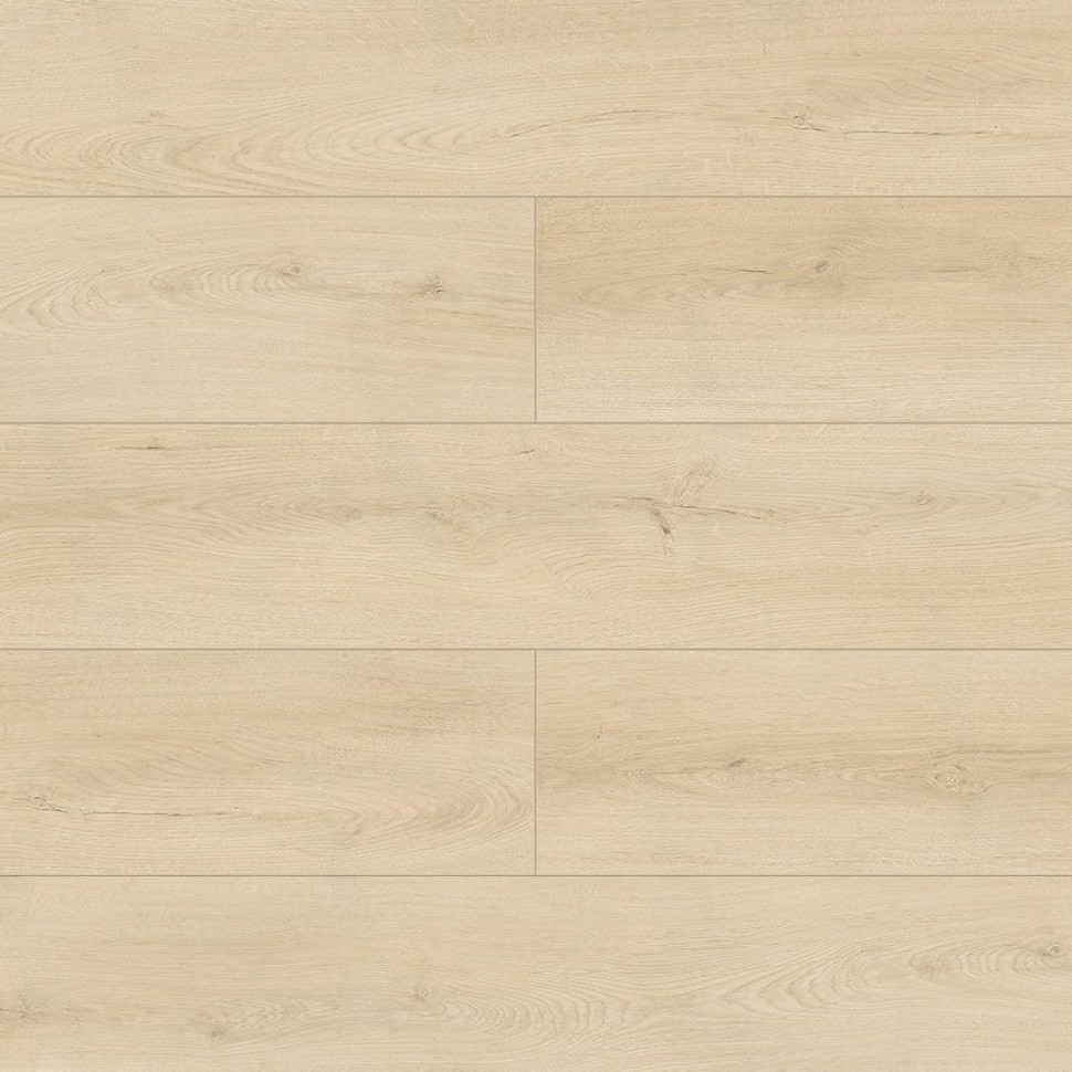 SPC ламинат Alpine Floor Grand Sequoia ECO 11-24 Секвойя Гигантум фото 1 — ПетроПол