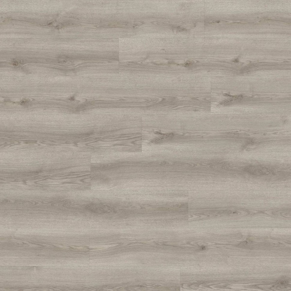 Виниловый ламинат Moduleo Next  294 Belver Oak фото 1 — ПетроПол
