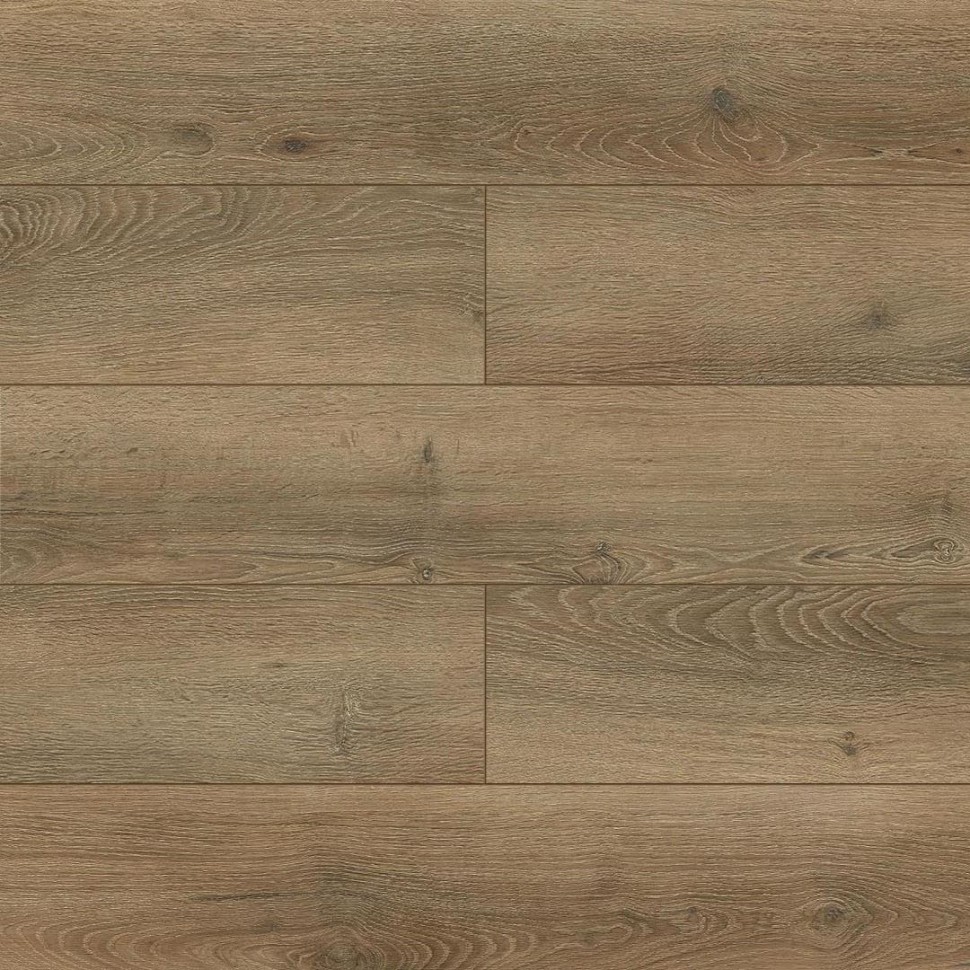 SPC ламинат Alpine Floor Premium XL ABA ECO 7-31 Дуб Эниф фото 1 — ПетроПол