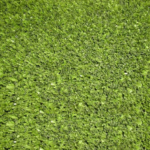 Искусственная Трава Grass Spring фото 1 — ПетроПол