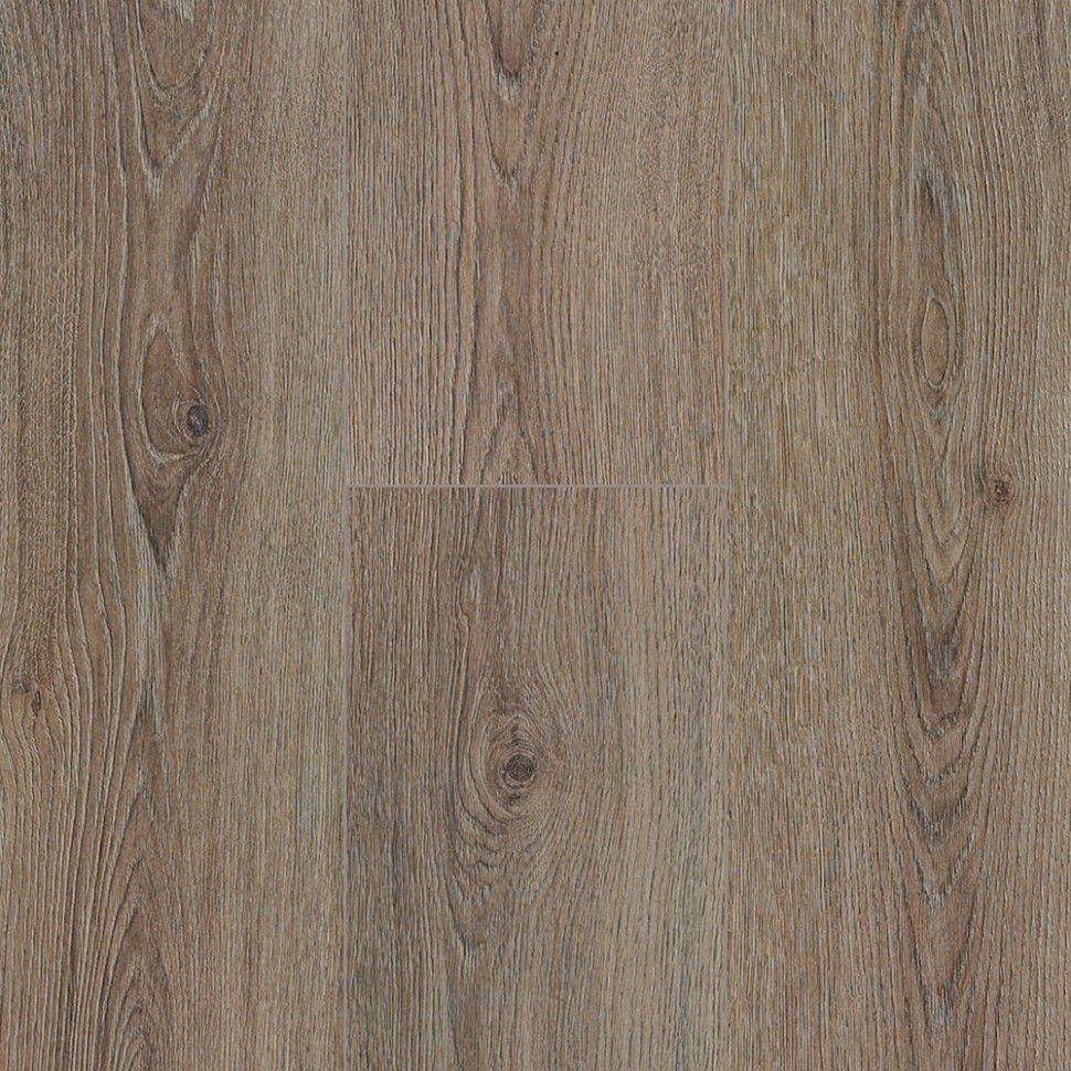 Ламинат Kastamonu Orange FP953 Дуб Сан-Марино фото 1 — ПетроПол