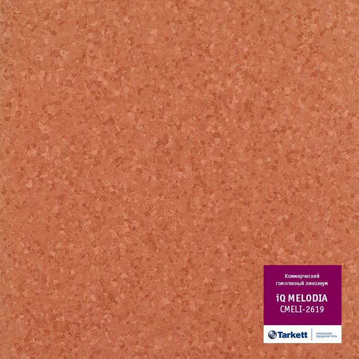 Линолеум Tarkett IQ Melodia Cmeli-2619 фото 1 — ПетроПол