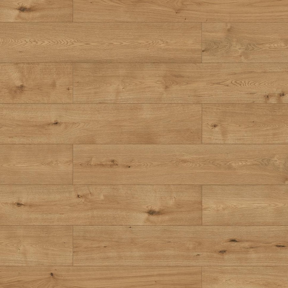 SPC ламинат Alpine Floor Pro Nature 61865 Нуар фото 1 — ПетроПол