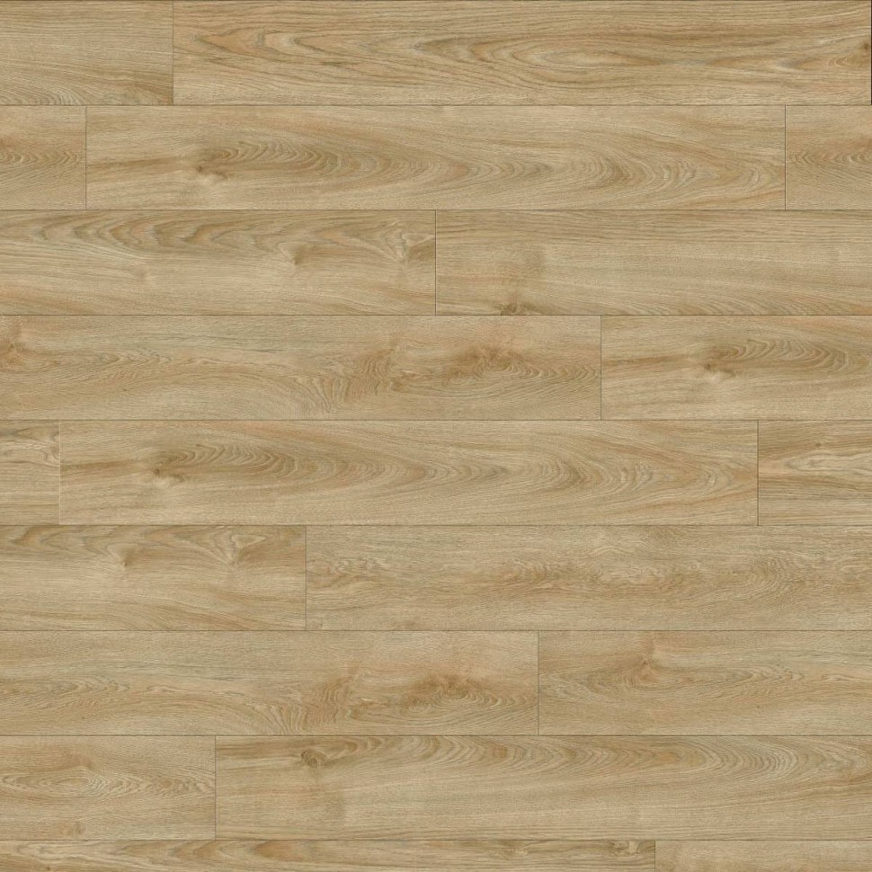 Виниловый ламинат Moduleo Next Acoustic 240 Valley Oak фото 1 — ПетроПол