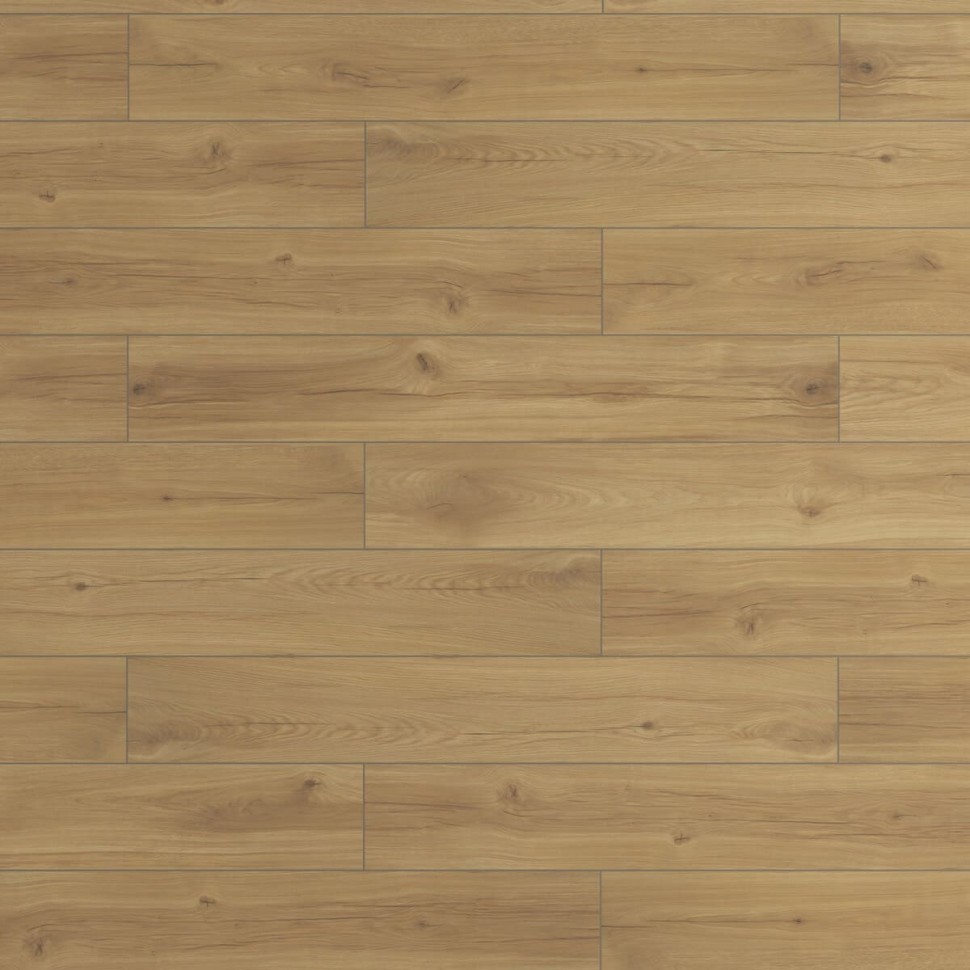 Ламинат Ever Sense EL1037 Дуб Вирдиа натуральный светлый фото 1 — ПетроПол