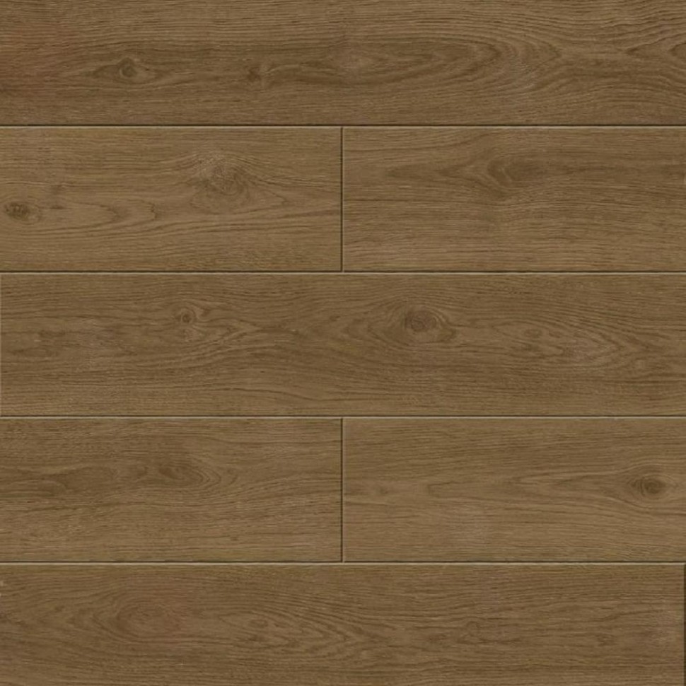 SPC ламинат Alpine Floor Solo Plus ECO 14-101 Аллегро фото 1 — ПетроПол