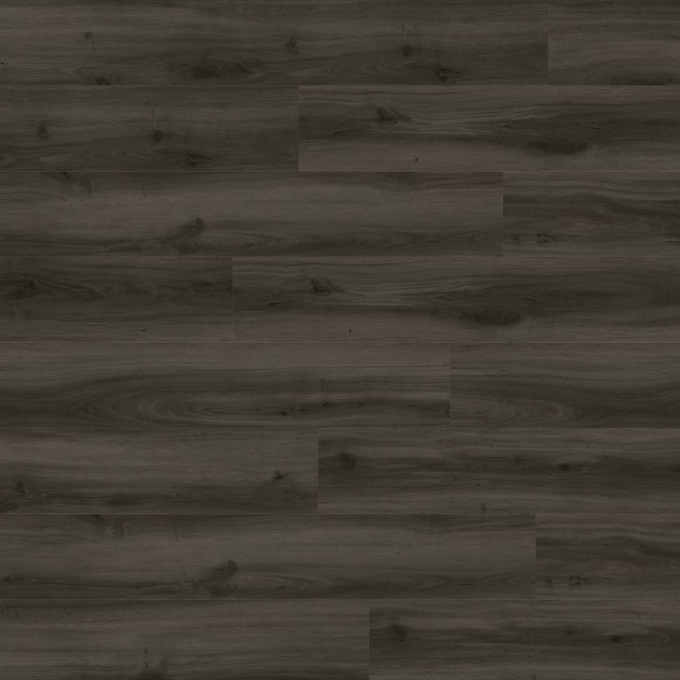 Виниловый ламинат Moduleo Next Acoustic 890 Tradition Oak фото 1 — ПетроПол