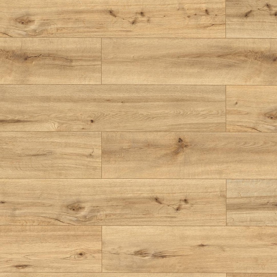 SPC ламинат Alpine Floor Pro Nature 62536 Мокоа фото 1 — ПетроПол