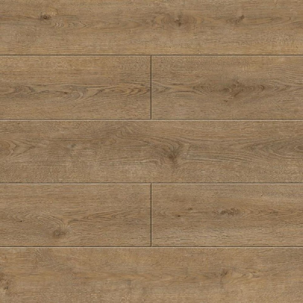SPC ламинат Alpine Floor Solo Plus ECO 14-301 Ларгетто фото 1 — ПетроПол