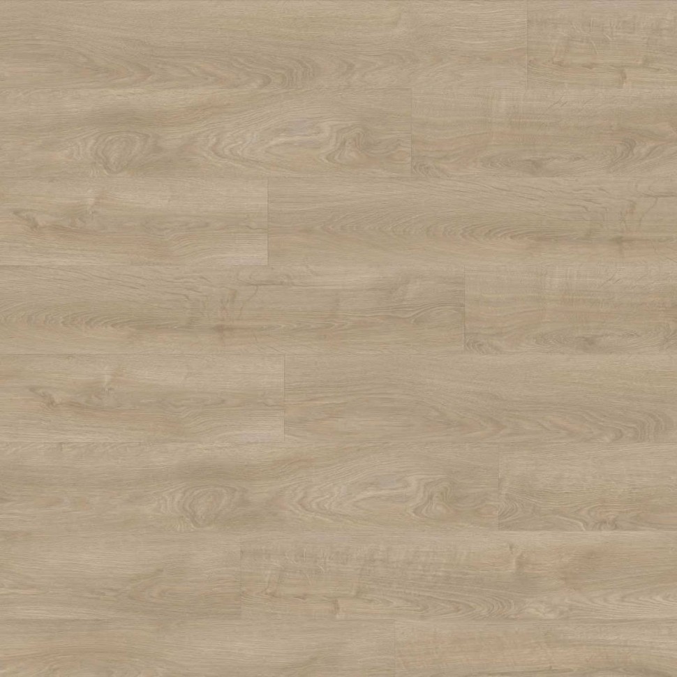 Виниловый ламинат Moduleo Next Acoustic 311 Silverleaf Oak фото 1 — ПетроПол