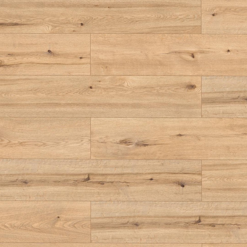 SPC ламинат Alpine Floor Pro Nature 62537 Барранкилья фото 1 — ПетроПол