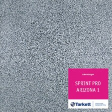 Линолеум Tarkett Sprint Pro Аризона 1 — ПетроПол