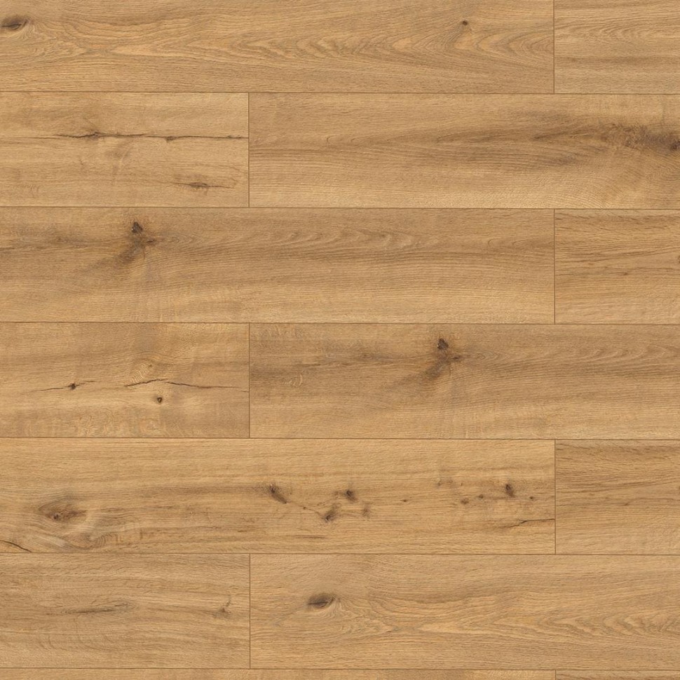 SPC ламинат Alpine Floor Pro Nature 62538 Соледад фото 1 — ПетроПол