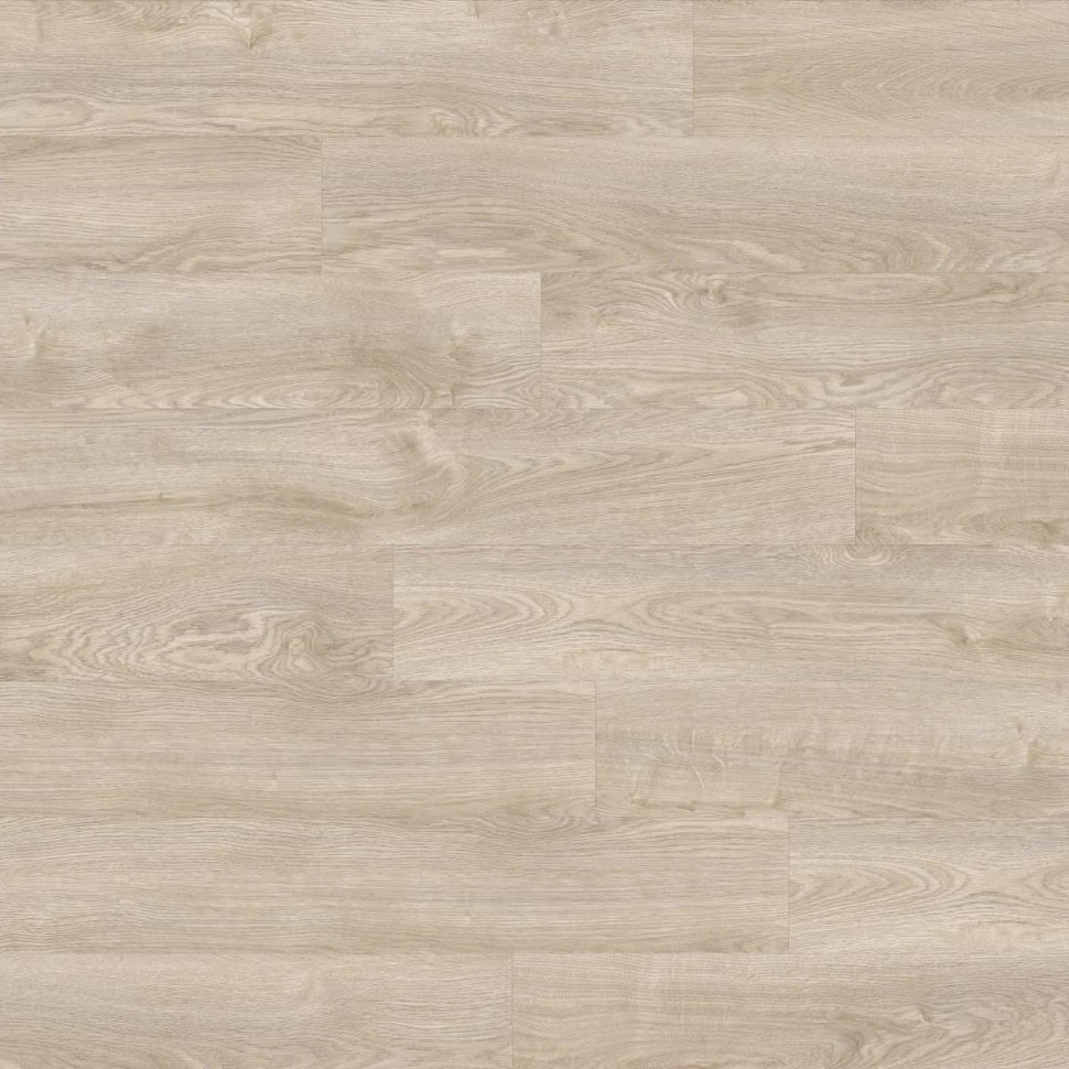 Виниловый ламинат Moduleo Next Acoustic 232 Silverleaf Oak фото 1 — ПетроПол