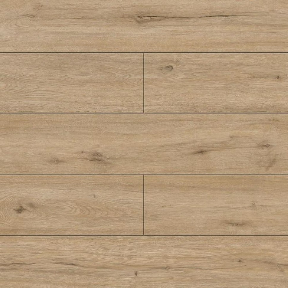 SPC ламинат Alpine Floor Solo Plus ECO 14-601 Ларго фото 1 — ПетроПол