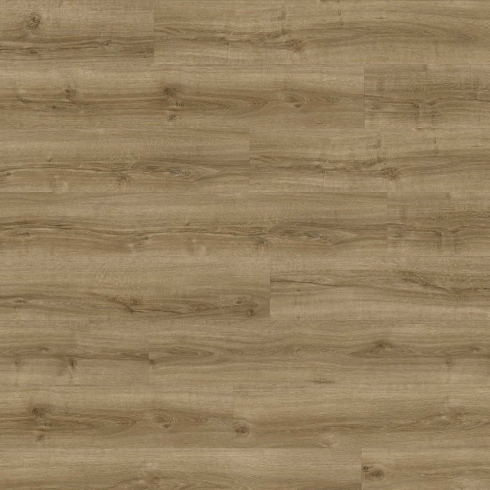 Виниловый ламинат Moduleo Next Acoustic 235 Silky Oak фото 1 — ПетроПол