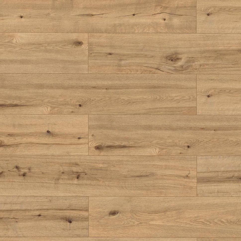 SPC ламинат Alpine Floor Pro Nature 62541 Соача фото 1 — ПетроПол