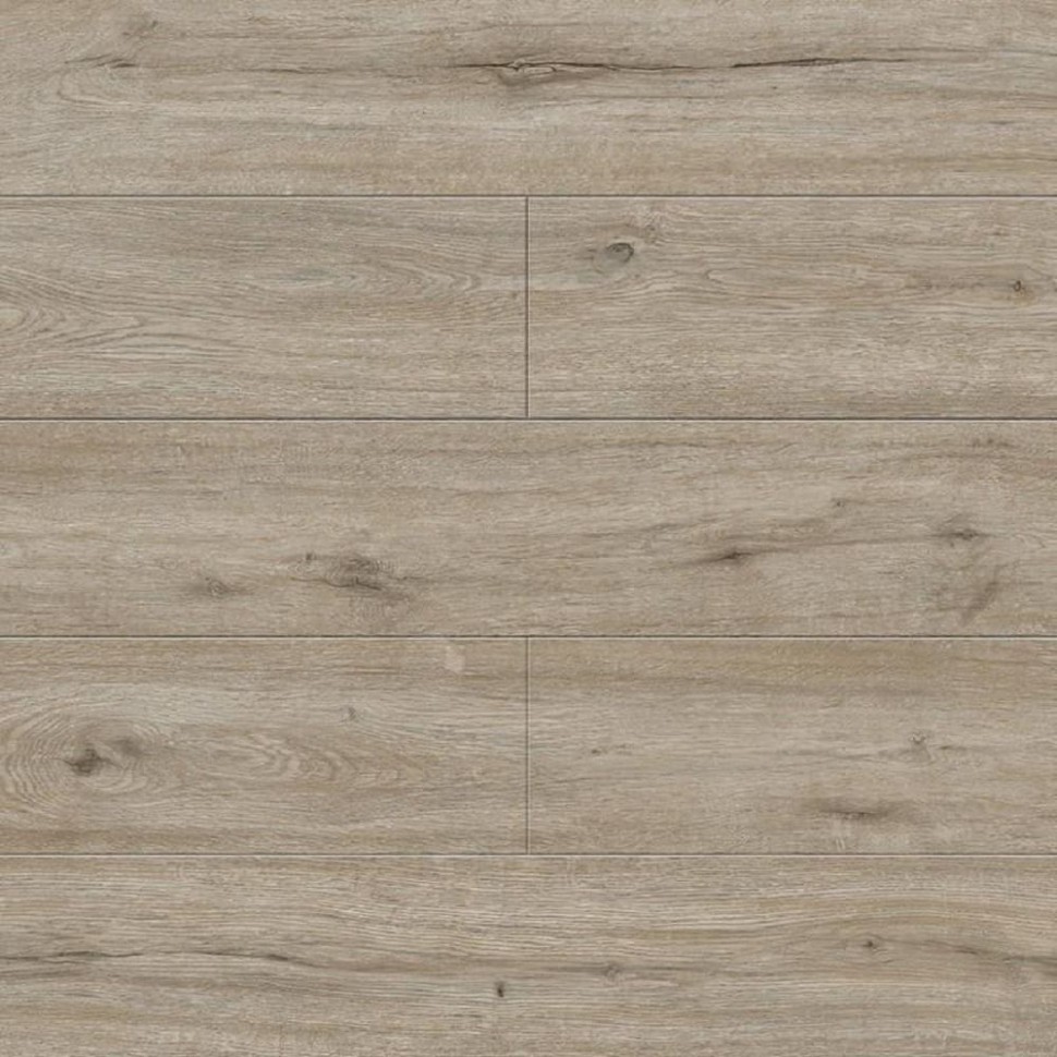 SPC ламинат Alpine Floor Solo Plus ECO 14-801 Прэсто фото 1 — ПетроПол