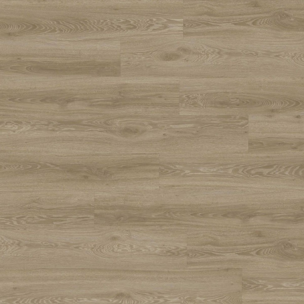 Виниловый ламинат Moduleo Next Acoustic 450 Vista Oak фото 1 — ПетроПол