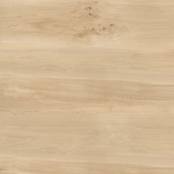 Керамогранит Buono Ceramic Forest FVL4511M Sweet Home Matt (60х120 см) — ПетроПол