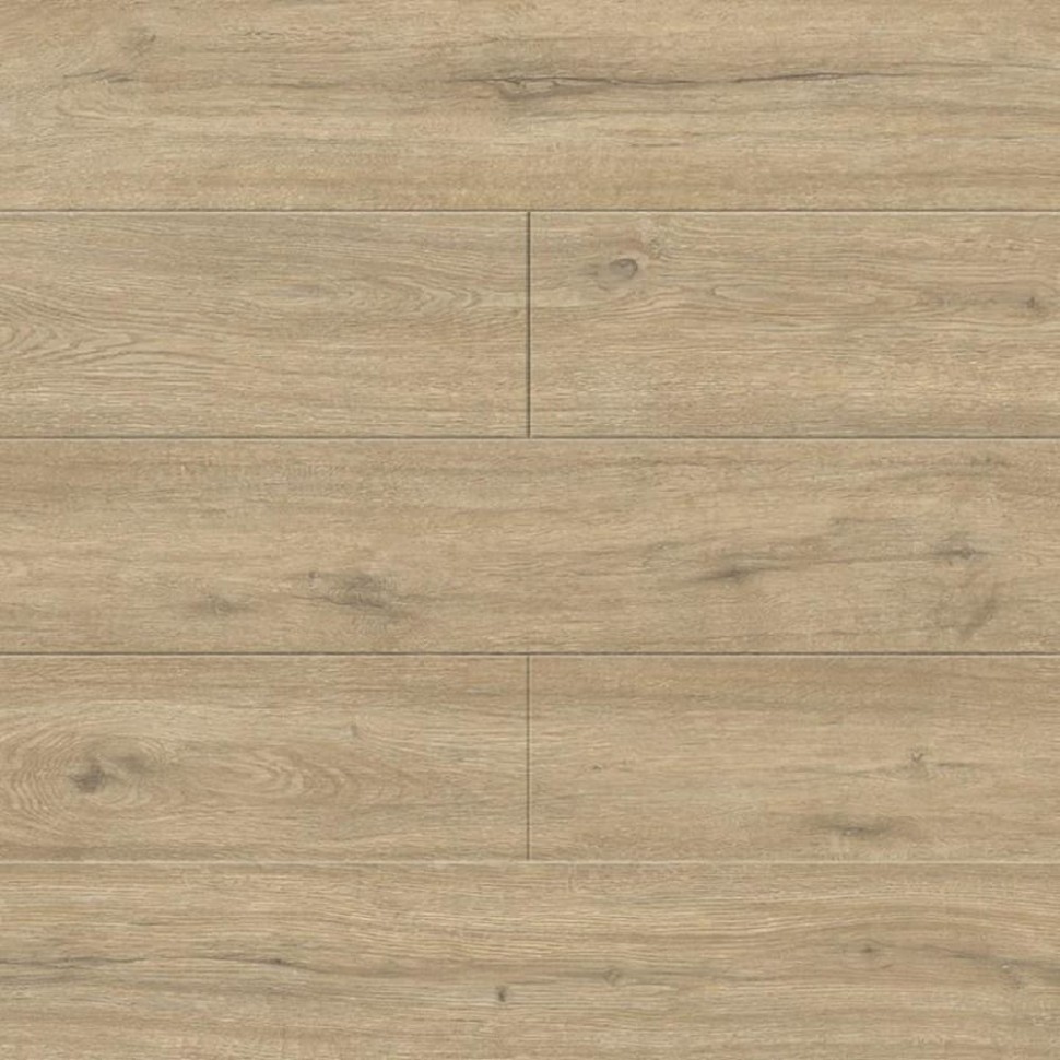SPC ламинат Alpine Floor Solo Plus ECO 14-1001 Анданте фото 1 — ПетроПол