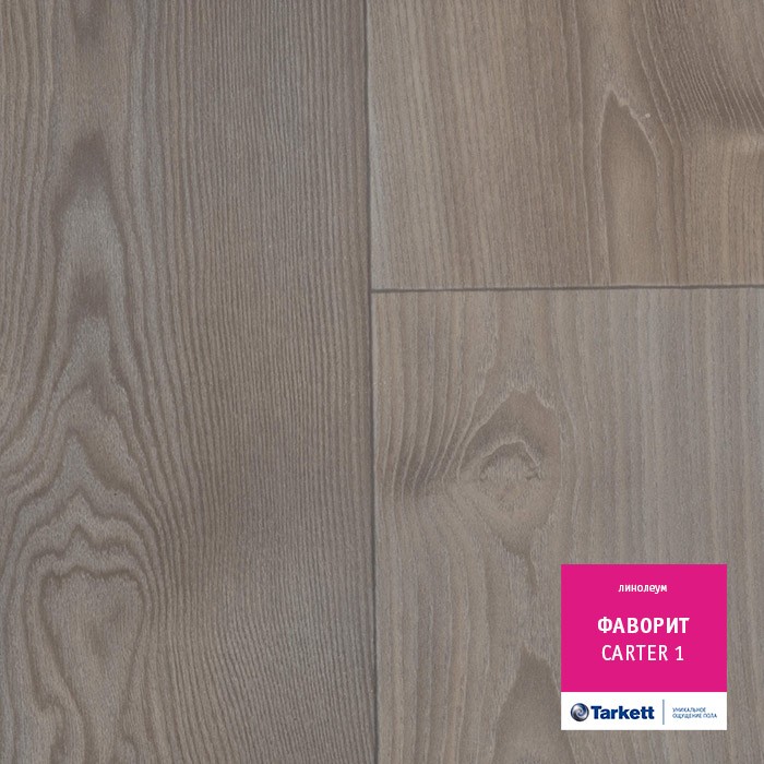 Линолеум Tarkett Фаворит Carter 1 фото 1 — ПетроПол