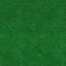 Выставочный ковролин - Темно-Зеленый 0518 — ПетроПол