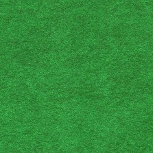 Выставочный ковролин - Зеленый 0519 — ПетроПол