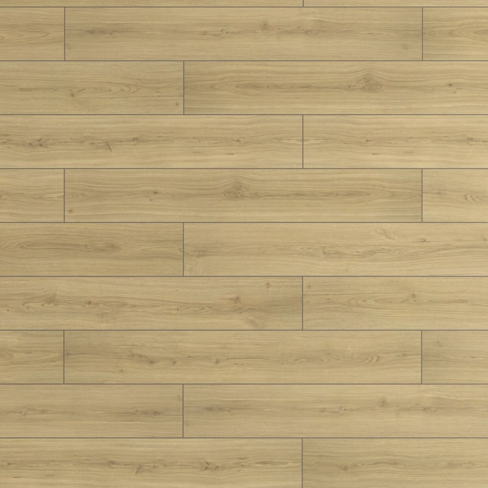 Ламинат Ever Sense EL2173 Дуб Падуа серый фото 1 — ПетроПол