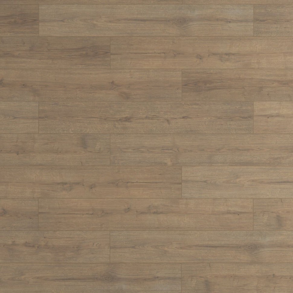 Ламинат Ever Sense EL2190 Дуб Турин фото 1 — ПетроПол