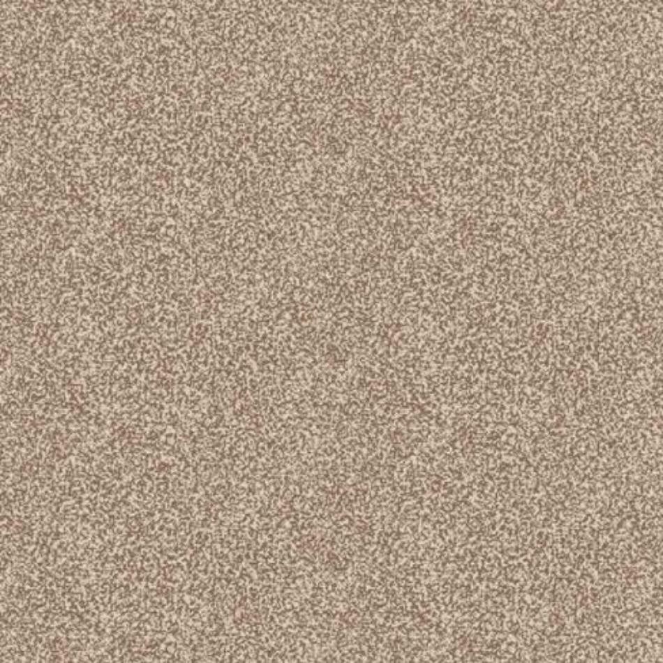 Ковролин Нева Тафт Принт Меланж 17;28 (3м) фото 1 — ПетроПол