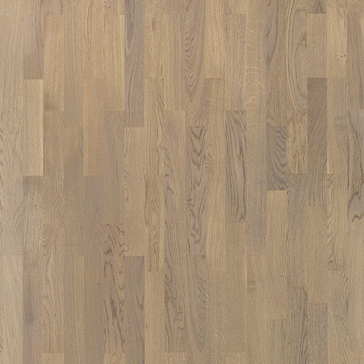 Tarkett Salsa Дуб Сахара фото 1 — ПетроПол